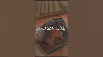 تلاوة رايعة صلاح بوخاطرسورةالغافر#الشيخ صلاح بو خاطر#اكسبلور