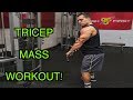 Intense 15 Minute Gym Tricep Workout for Muscle Mass