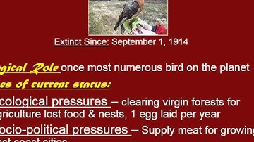 3.3 CITES and Red List Case studies