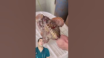 How to make a video like this? @InVideoOfficial