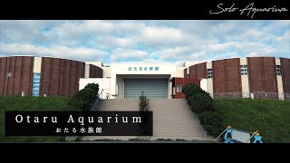 おたる水族館のススメ【水族館本館・イルカスタジアム】