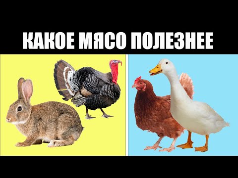 Вот какое из четырех видов мяса безопаснее всего