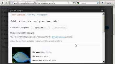 Video 7 - How to Insert and Format Images Wordpress