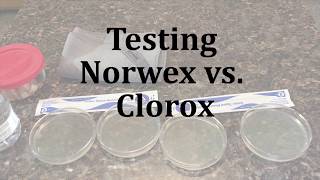 Testing the 'Antibacterial' Properties of Norwex Envirocloth