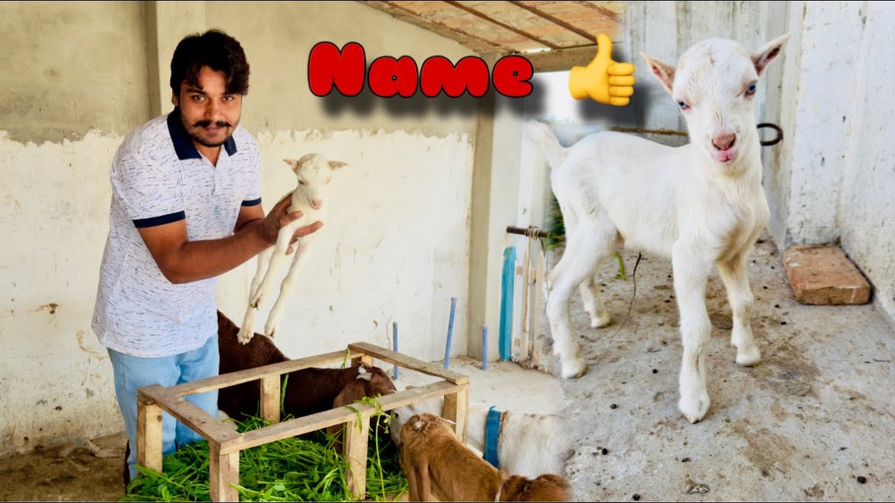 Hamny Apni Cyndrella K Baby Ka Name Rakh Dia YouTube hamny-apni-cyndrella-k-baby-ka-name-rakh-dia-youtube