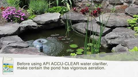 API POND ACCU-CLEAR | Keep your pond looking clear