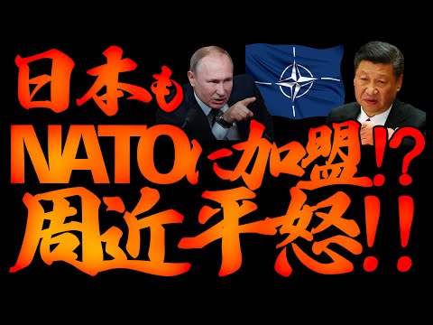日本もNATOに加盟!?周近平怒!!【5/6ウィークンドライブ⑧】