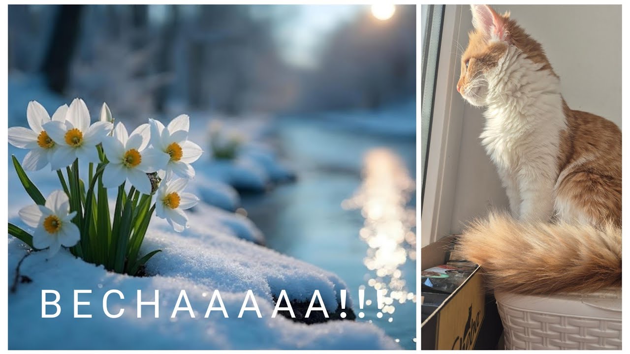 VLOG 617: С 1М ДНЕМ ВЕСНЫ!!