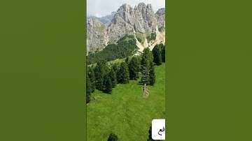 تلاوة مباركة من كتاب الله العزيز.