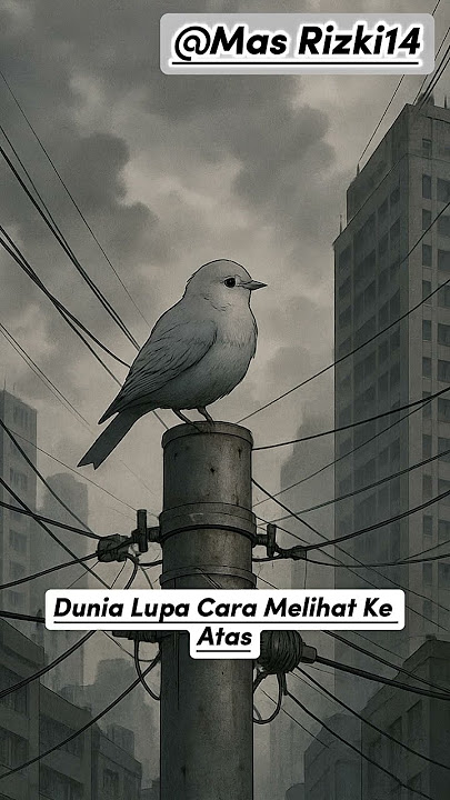“Seekor Burung, Sebuah Langit, dan Janji yang Hilang”#shorts #shortvideo #fyp