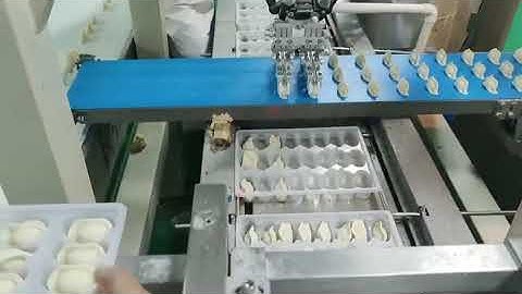 Fully Automated Dumpling Production Line - Complete Plant for Jiangsu Client