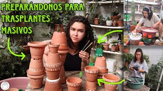 Mega mantenimiento de Noviembre en el jardín +como reutilizar macetas y preparar sustrato🌷🪷🌵🌱✨