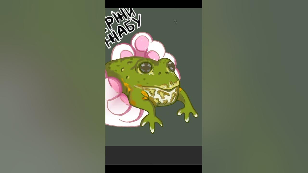 держи жабу - YouTube