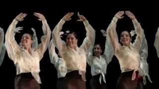 FUERZA Y COMPÁS - Lizt Alfonso Dance Cuba