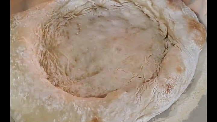 pizza test 2023 6 26