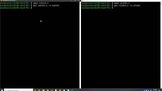 Celebrity Stream Sockets Demonstration Net Worth