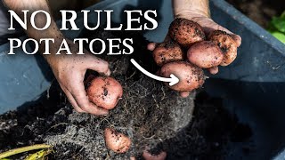 Unconventional Potato Growing Advice You Need to Hear by Huw Richards 41,658 views 1 month ago 8 minutes, 35 seconds
