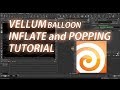 Houdini Vellum Balloon Inflate and Popping