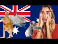 Ranking Dangerous Australian Wildlife (Tier List)