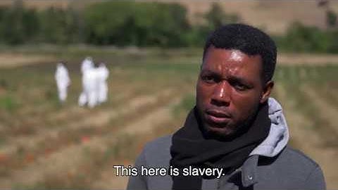 Severe labour exploitation - Rights holders perspectives