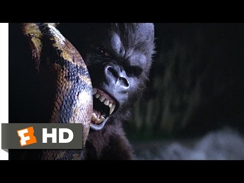 King Kong (5/9) Movie CLIP - Snake vs. Kong (1976) HD