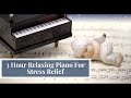 Musik Piano Santai 3 Jam untuk Menghilangkan Stres | Musik Untuk Tidur Dan Relaksasi Mendalam