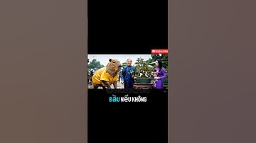 Capy review cây bonsai sâu riêng 2 tỉ . Bạn có nghe nhầm ko #capybara #vlog# #funny