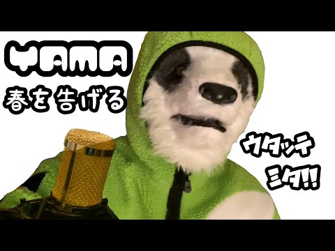 春を告げる／yama／男性キー『-4』【パンダが歌ってみた♪】