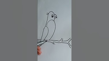 How to draw a parrot with number 22 | #shorts #youtubeshorts