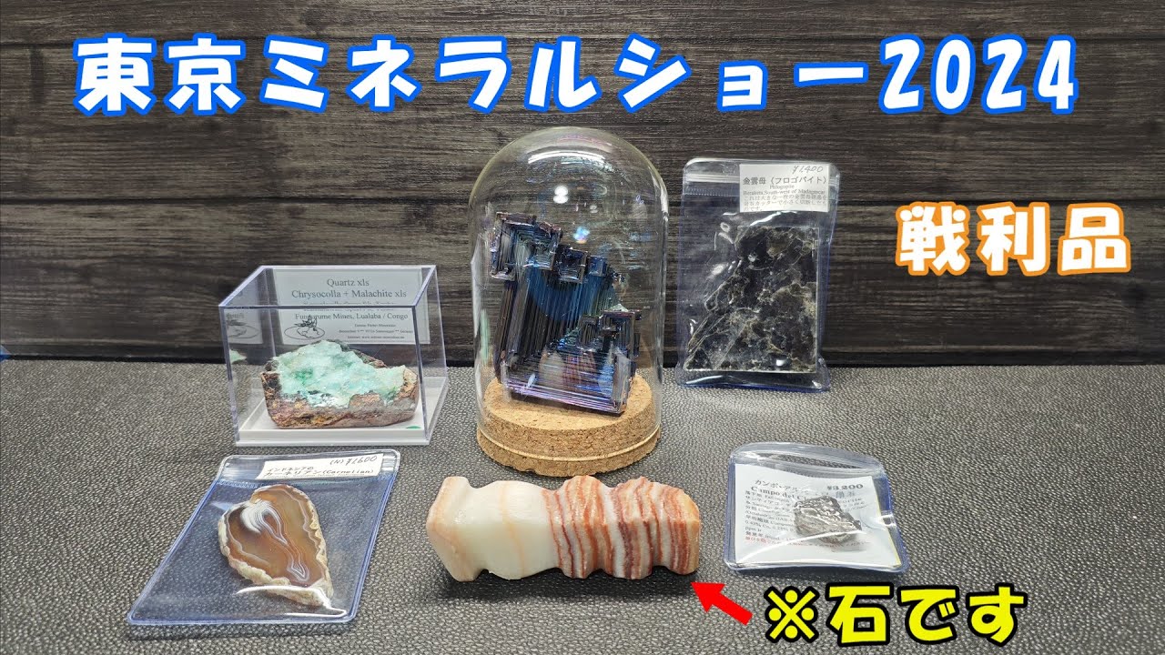 東京ミネラルショー 2024 戦利品 Youtube 