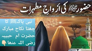 ازواج مطہرات حضرت ام حبیبہ کاواقعہl #plzzsubscribemyyoutubechannal #hindistories #youtubevideo #like