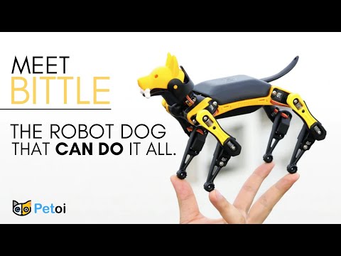 Meet Bittle Robotic