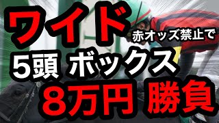 オッズで万馬券を獲りまくる驚異の最新ミニマックス法 オッズで万馬券を獲りまくる驚異の最新ミニマックス法