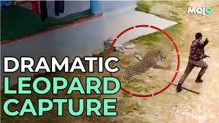 Kashmir| Leopard Attacks Wildlife Official After Entering A Residential Area