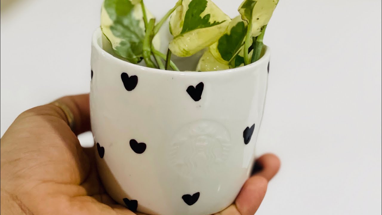 Hanging coffee cup planter — A Charming Project