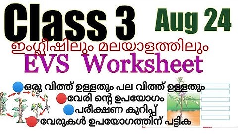 Class 3 Evs worksheet August 24|3 class പൂത്തും തളിർത്തും| blooming and sprouting| victers 3 class
