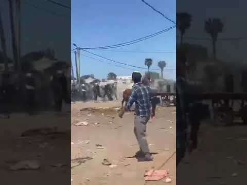 مواطنون مغاربة يطردون كلاب السلطة بالحجارة