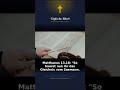 Edin Dzeko Schalke 04 News heute nimmt x Was die Bibel Sagt