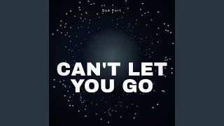 Can't Let You Go - Dan Port