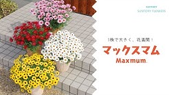 サントリー公式チャンネル Suntory Youtube