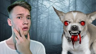 картинка: Я ВСТРЕТИЛ СОБАКУ ЛЮДОЕДА!