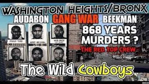 Washington Heights/Bronx Gang War - The Wild Cowbo...