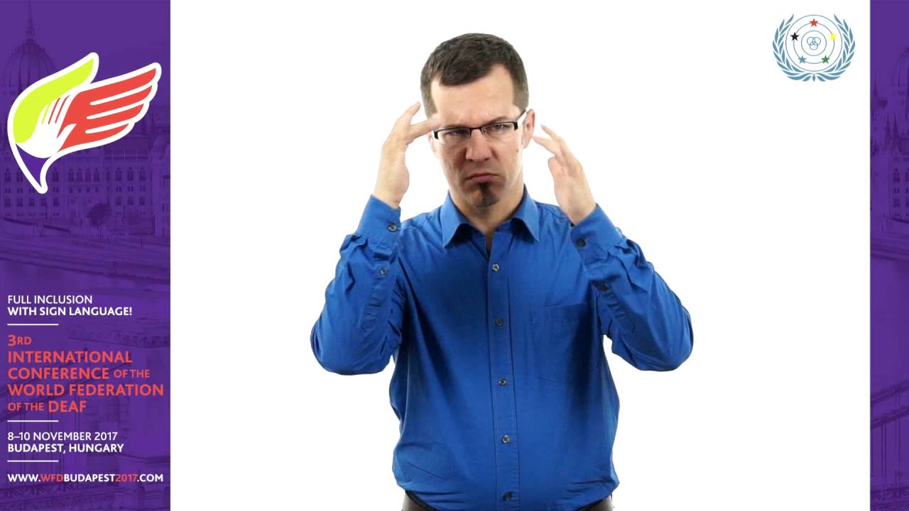 Conference topics p5 - PANEL DISCUSSION: PARTICIPATION IN DECISION MAKING – OUR RIGHTS AND VOTES