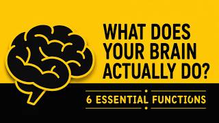 Why do you need a brain | 6 Essential Functions Explained