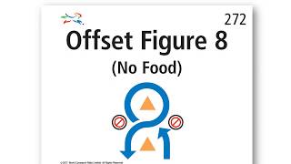 272   Offset Figure 8 No Food (with scoring)
