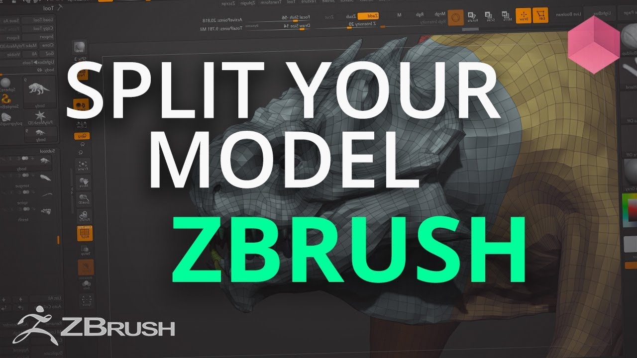 split back from front zbrush