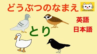 英語　子供向け動物の名前鳥の名前日本語と英語name of birds in EnglishEnglishJapanese