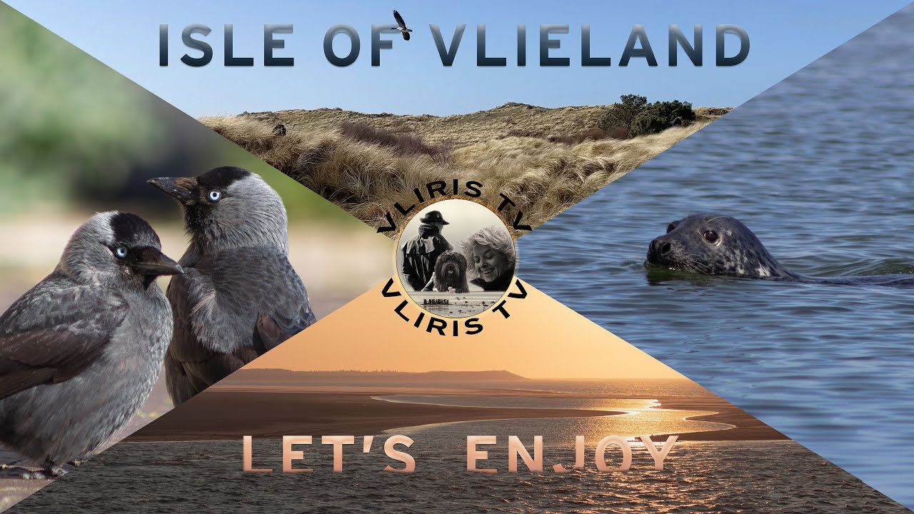 Explore these Hidden Gems on VLIELAND - the beautiful Wadden #vlieland #islandlife #worldheritage