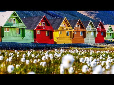 سفالبارد  المكان الوحيد على الأرض حيث يمكنك العيش والعمل بدون تأشيرة إلى الأبد