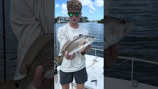 Haha, I only catch dinks 🤣🤣 #fishing